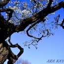 (주)건축사사무소 아라가야 이미지