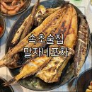 속초 술집 | 포장마차거리 해산물 안주 맛집 말자네포차 내돈내산 후기