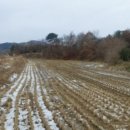 성상1리마을회관 이미지