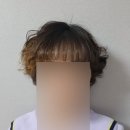 살롱 드 문(salon de moon) 이미지