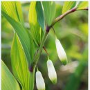 히든밸리펜션 이미지