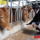 부농축산 이미지
