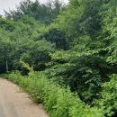 섬강공인중개사사무소 이미지