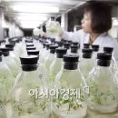새순 이미지