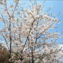 안국역(3) 이미지