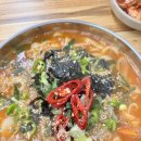 고양이 주택 이미지