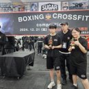 슈가복싱 프리미엄 이미지