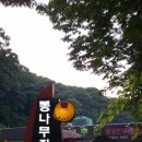 내곡동445 이미지