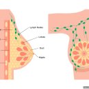 진주비타민의원 이미지