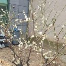 박카스공인중개사사무소 이미지