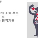 원정탕