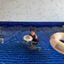 스테이 밤부 | 경주풀빌라 추천 | 스테이밤부🎋🍃(STAY BAMBOO)