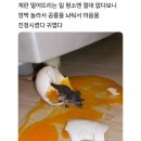 시종일관 이미지