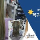 왕가위미용실