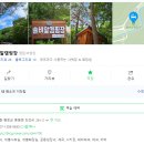 솔비알 | 강원도 평창 솔비알캠핑장 이용후기(1)