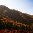 케이블카 이미지