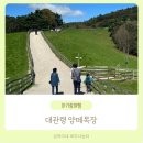 금복목장 | 대관령 양떼목장 아기랑 강원도 평창여행