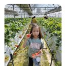 경용태권도 이미지