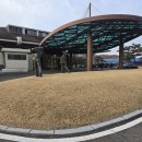 마스타골프 | 2026년 첫 필드 라운딩, 3월 1일 동기 골프 모임 대회 스타트 – 마스터 인 코스 3팀 플레이 후기