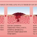 D01045 동아사이언스