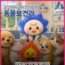 유기 및 야생동물 관리 전문가 양성과정 | 동물보건사 자격증·취업 강한 대학 학과(동물보건과 양성기관 인증 특화 교육 운영)