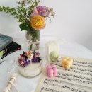 메리고제니 이미지