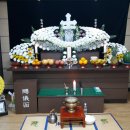 야은로-24 이미지