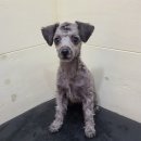 소사본주민지원센터 이미지