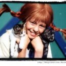 신나는머리나라 이미지