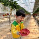 약대농장 이미지