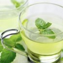 페퍼민트 이미지