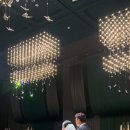 금재원 이미지