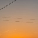 애견의 정원 이미지