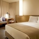 스테이인 호텔 봄 이미지