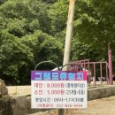 서울근교 경기도 취사 가능한 송추계곡 그랜드유원지 애견동반가능