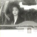 하우헤어