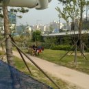 태성한방 이미지