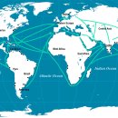(주)대한무역 이미지