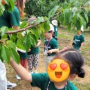 손별농장 이미지