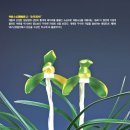 송죽 이미지