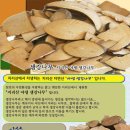 지리산한방식품 이미지