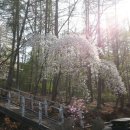 다리골가든 이미지