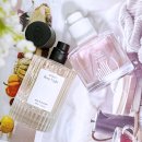 흙내음풀내음 | 올리브영 추천템 아닐로 오 드 퍼퓸 단독 기획세트 올영 향수 세일 추천