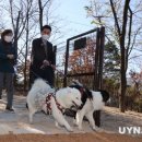 반려동물 테마공원(댕댕동산) 이미지