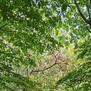 등구농장 이미지