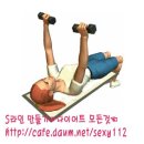 덤벨 체스트 프레스 (Dumbbell Chest Press) - 가슴 이미지