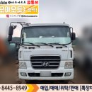 현대셀프 이미지