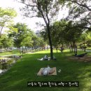 붕어섬테니스장 이미지