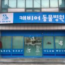 캐비어동물병원 이미지