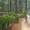 증미역 2번출구 뒤 이미지